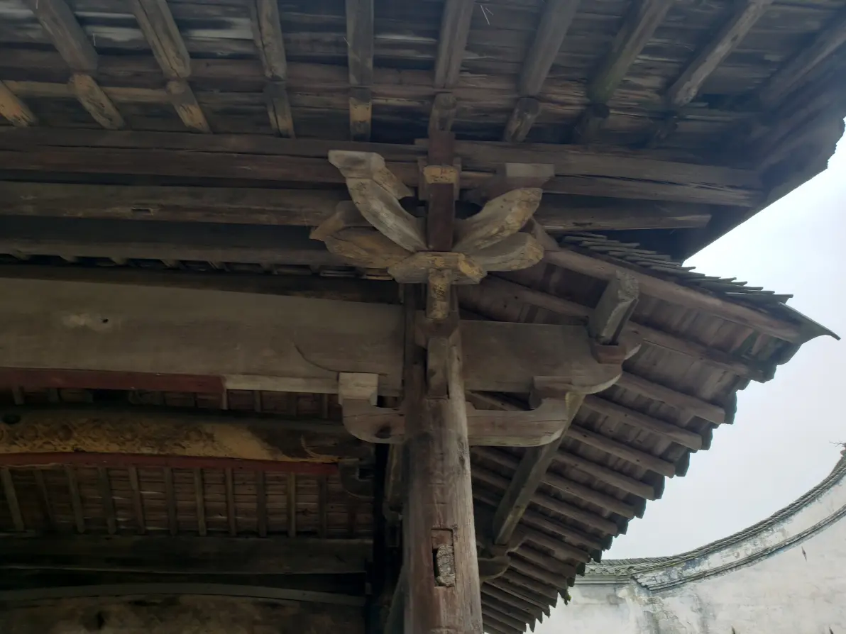 关键选项图示